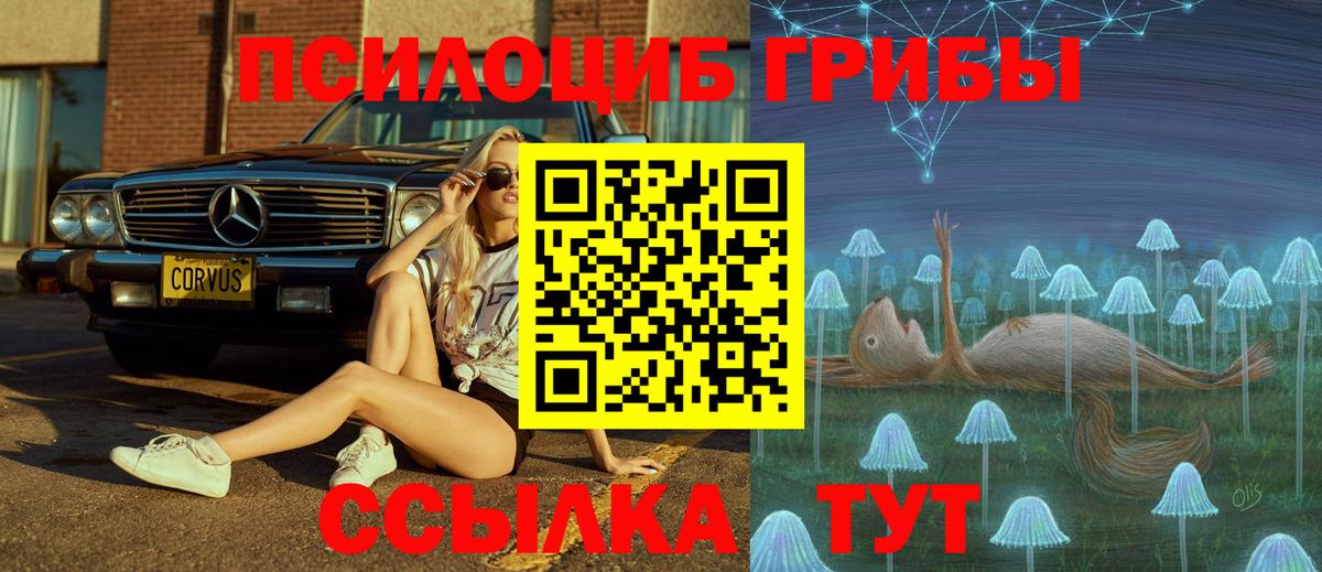 купить наркотики цена  Вход с VPN  Белая Калитва  Галлюциногенные грибы мицелий 