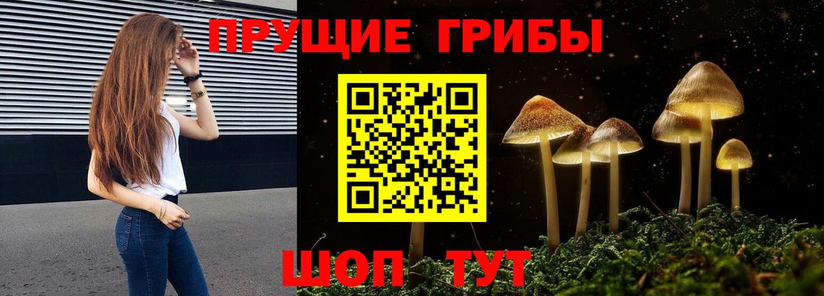 Галлюциногенные грибы GOLDEN TEACHER Белая Калитва